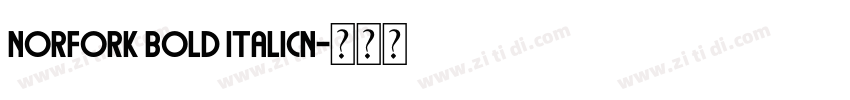 norfork bold italicn字体转换